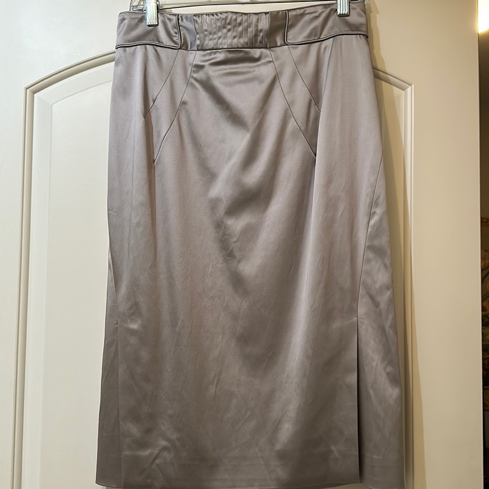 Zac Posen knee length skirt! Beautiful back waist detail. Lilac taupe color